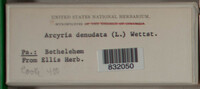 Image Associated With the Occurence